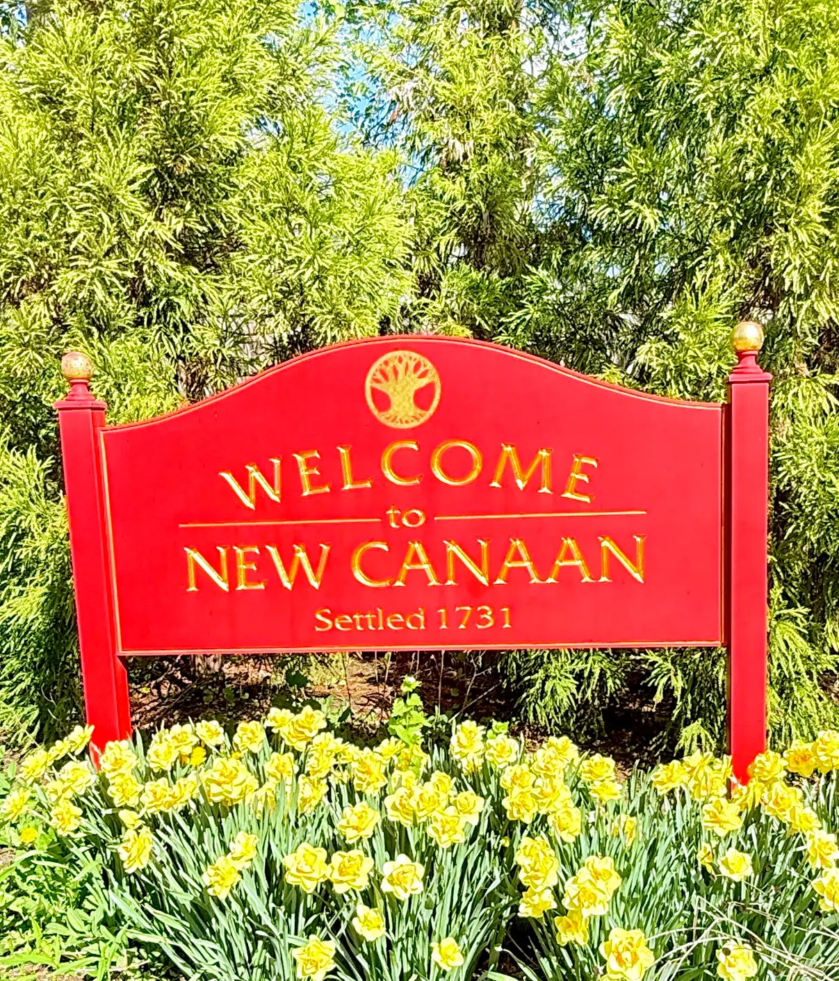 Welcome Image